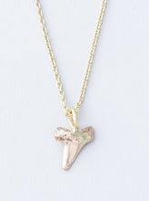 Load image into Gallery viewer, Shark Tooth Pendant