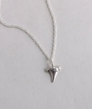 Load image into Gallery viewer, Shark Tooth Pendant