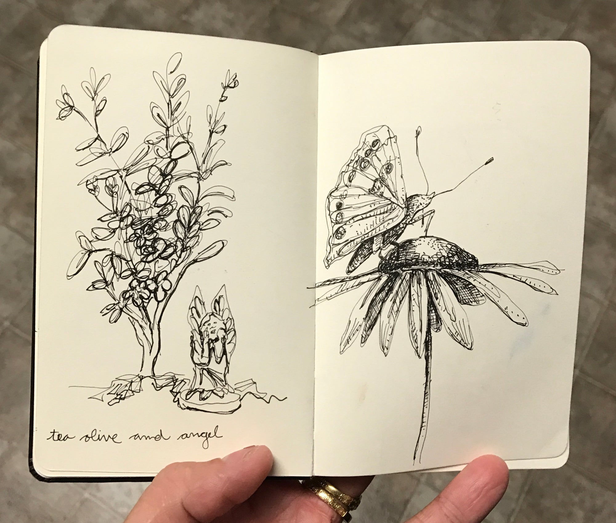 Expert in Residence at The Swag, a luxury mountain resort in NC