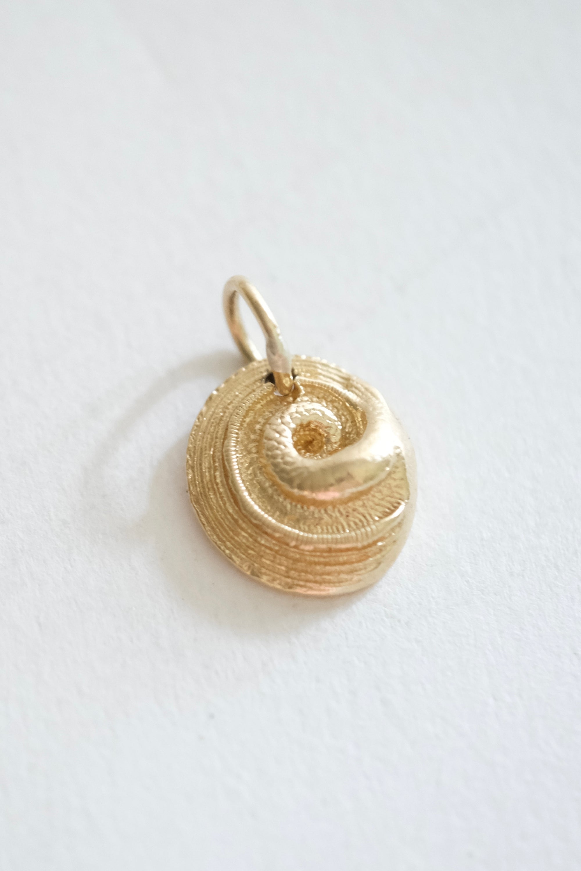 Spiraling Shell Pendant