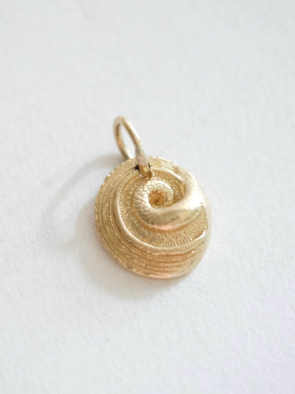 Spiraling Shell Pendant