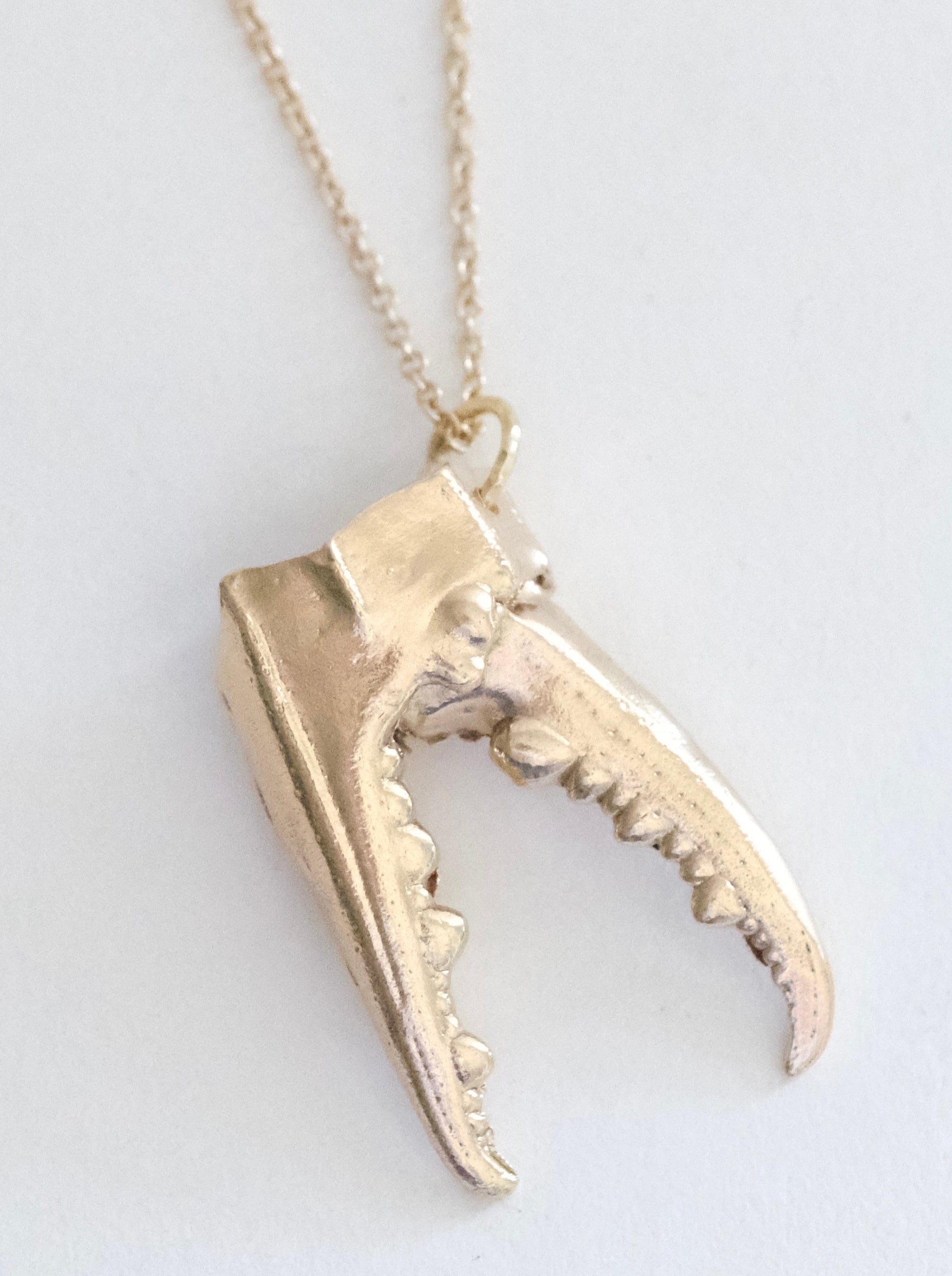 Crab Claw Pendant