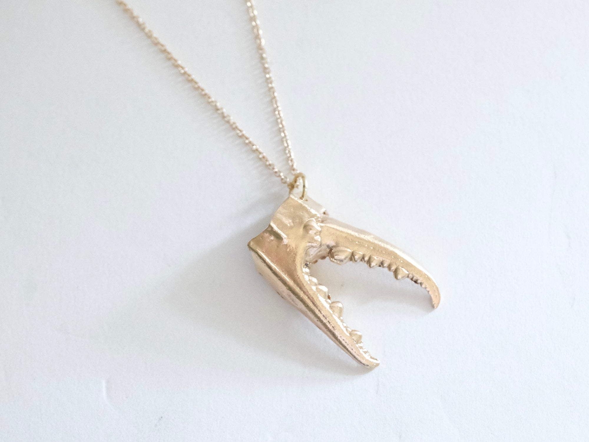 Crab Claw Pendant