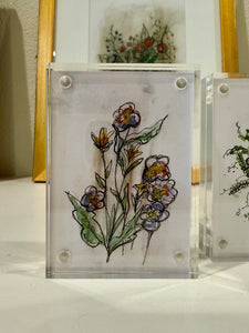 Tiny Flower Drawings in Acrylic Frames