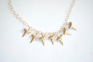 Shark Teeth Necklace