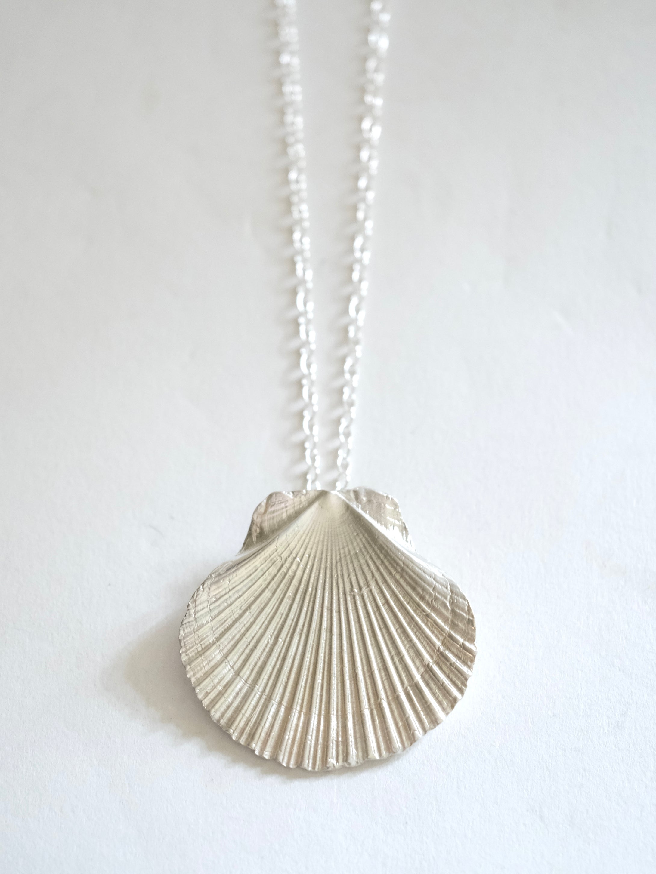 Scallop Shell Pendant in Silver