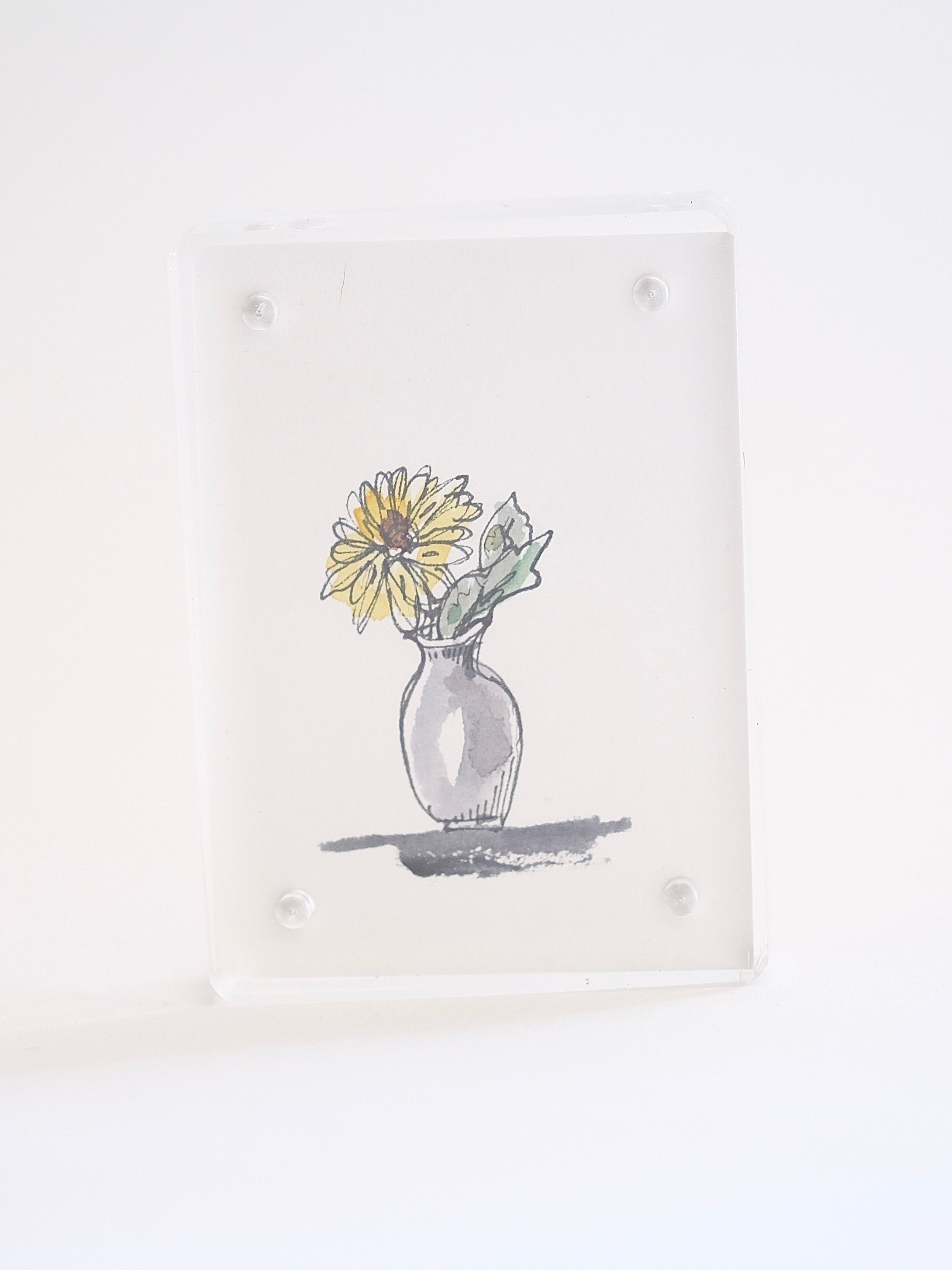 Tiny Flower Drawings in Acrylic Frames