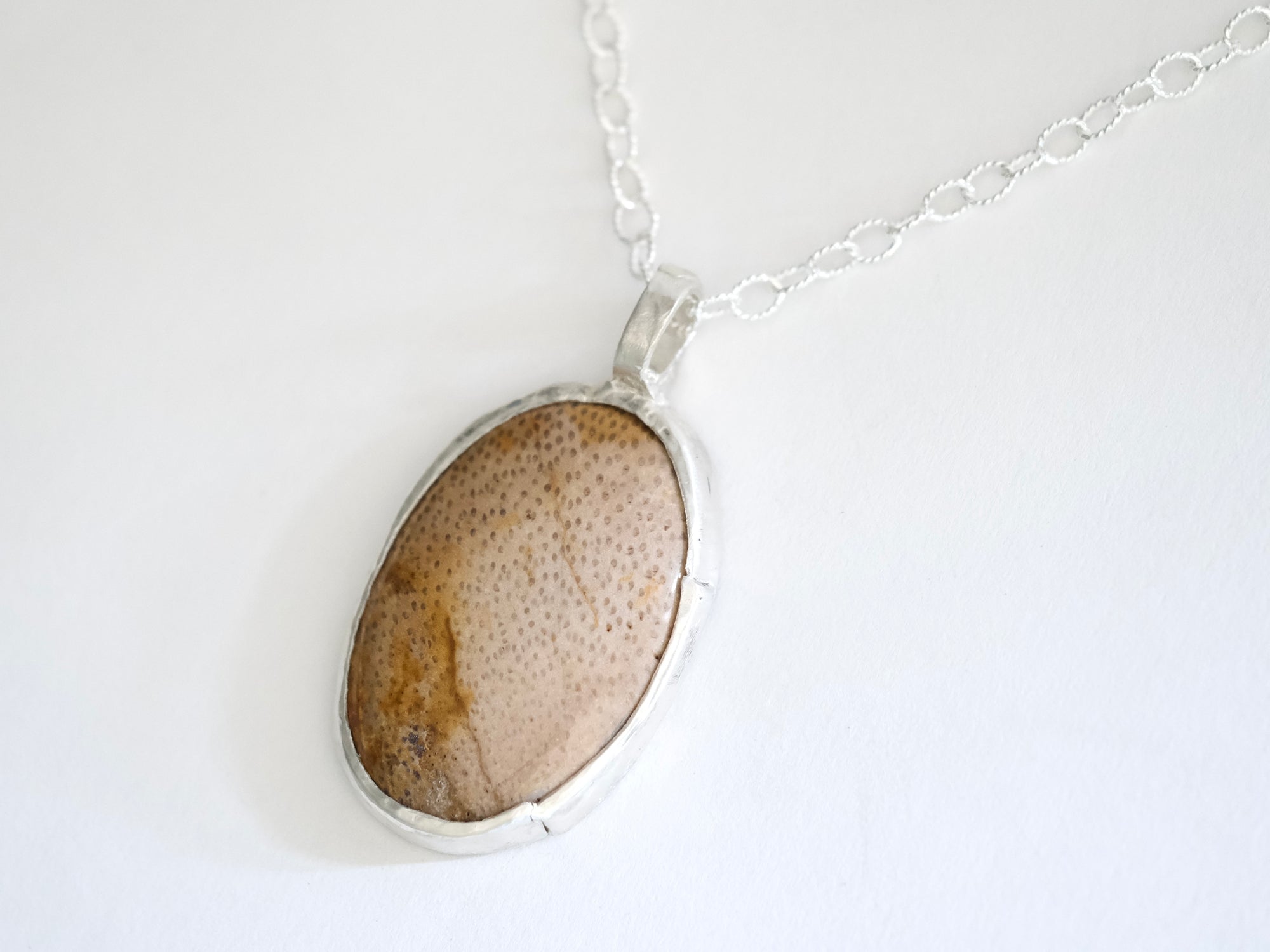 Fossilized Wood Pendant Necklace in Silver