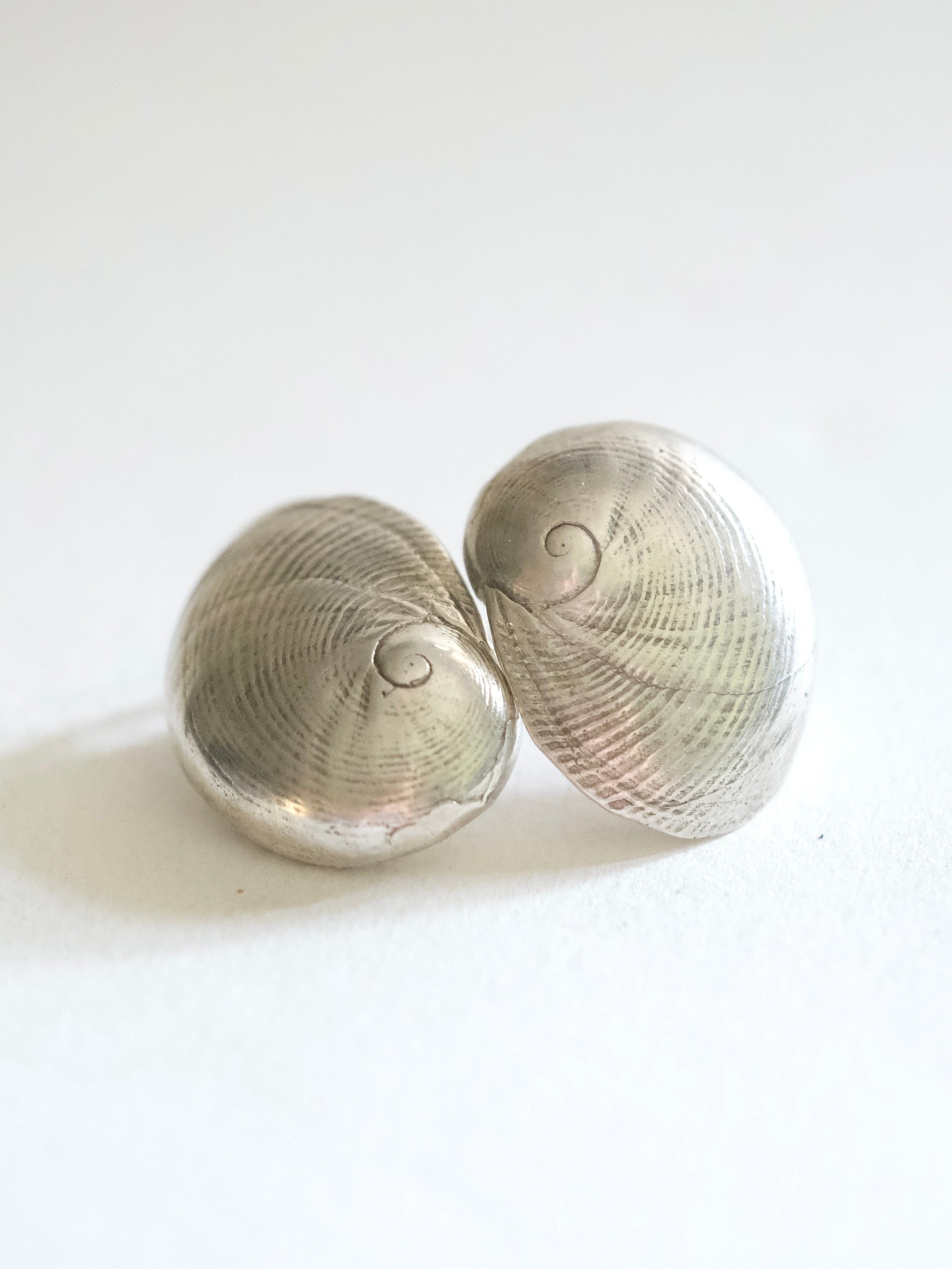 Scallop Shell Earrings in Silver