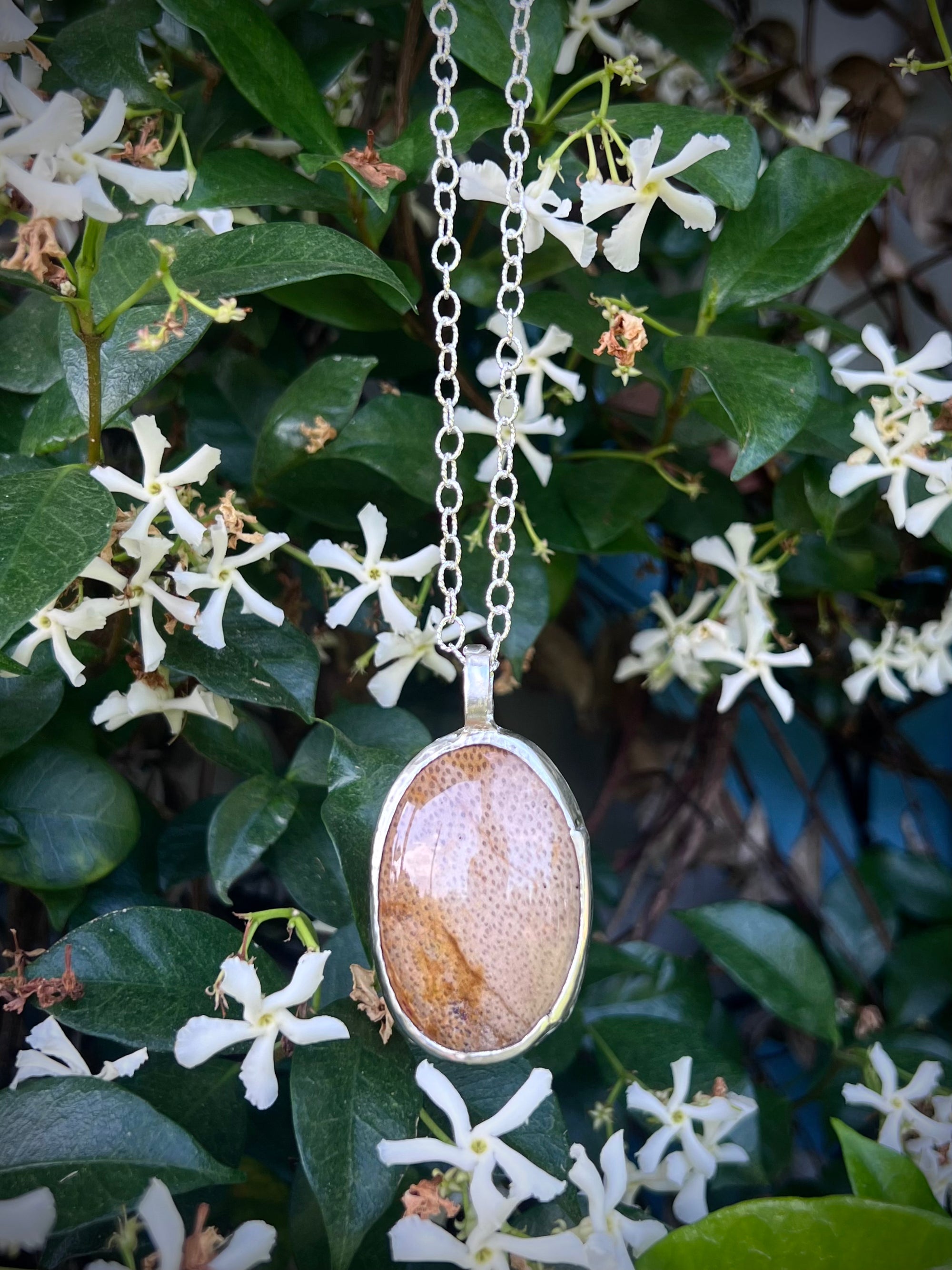 Fossilized Wood Pendant Necklace in Silver