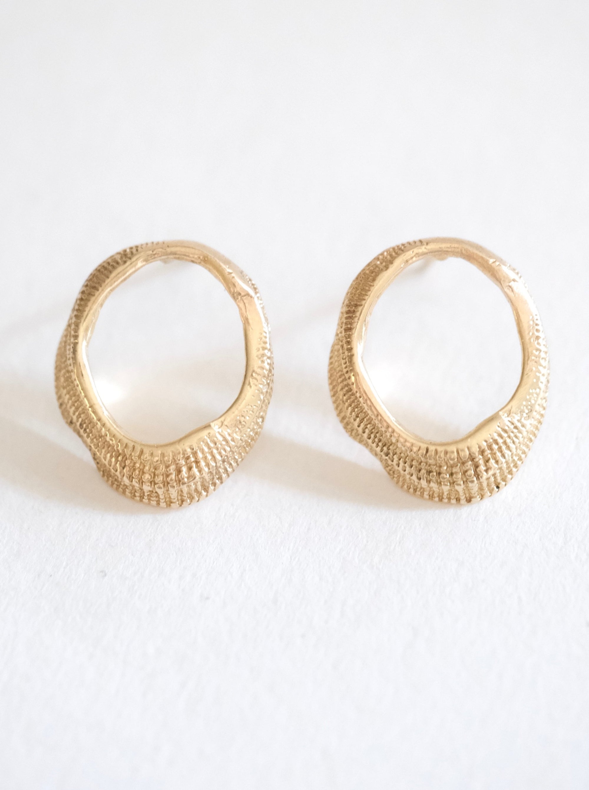 Small Oval Seashell Stud Earrings