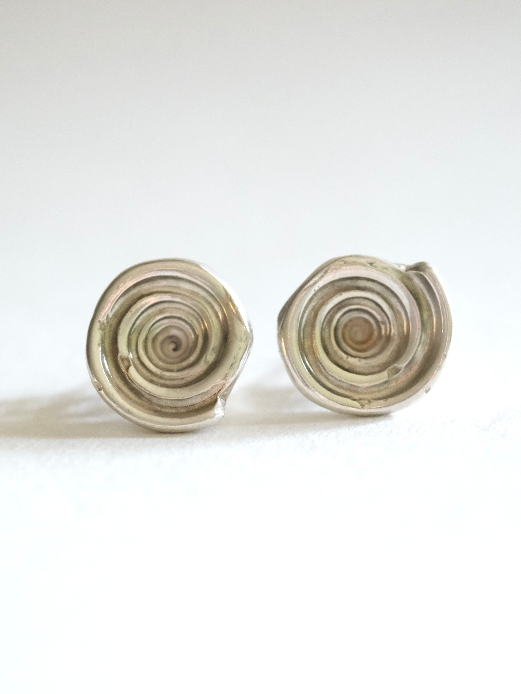 Spiraling Shell Turquoise Stud Earrings