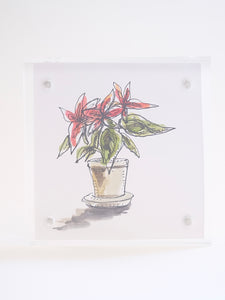 4x4” Tiny Framed Flower Drawings