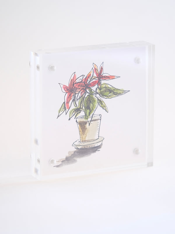 4x4” Tiny Framed Flower Drawings