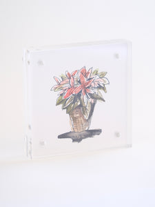 4x4” Tiny Framed Flower Drawings