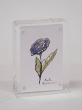 Load image into Gallery viewer, Tiny Flower Drawings in Acrylic Frames
