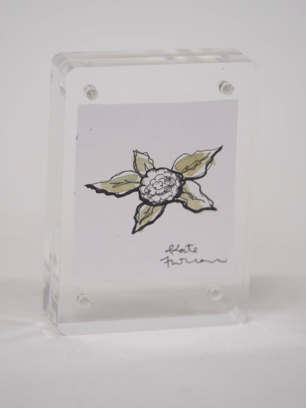 Tiny Flower Drawings in Acrylic Frames