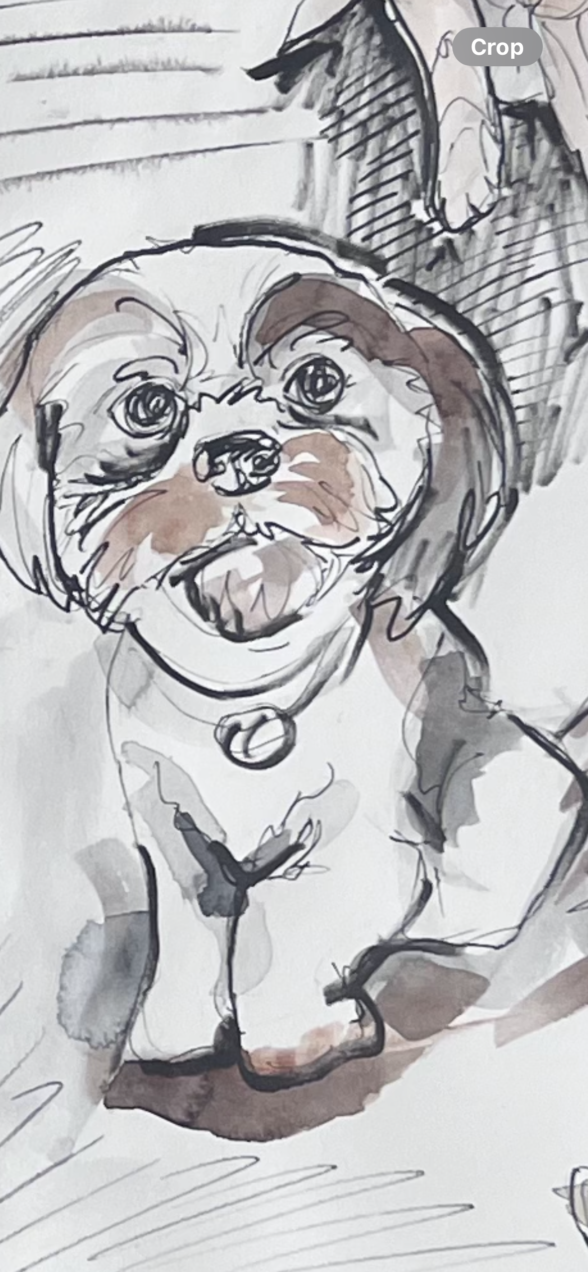 Drawing Class Registration: All Things Sketchbooking (Once Monthly Classes)