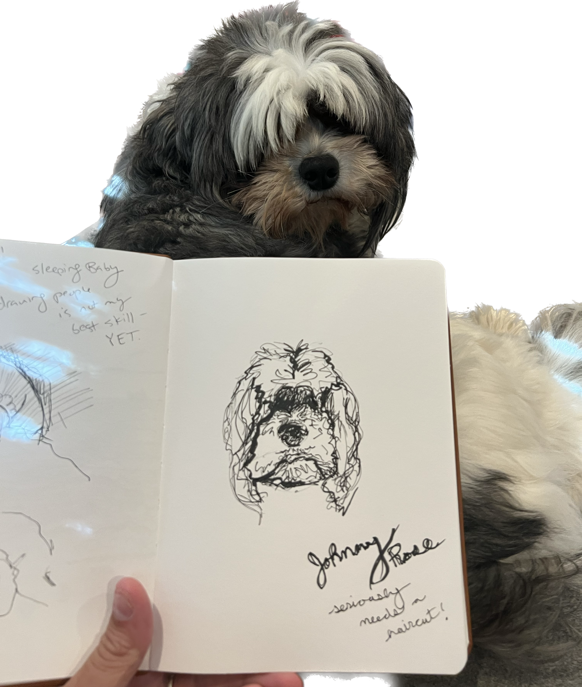 Drawing Class Registration: All Things Sketchbooking (Once Monthly Classes)