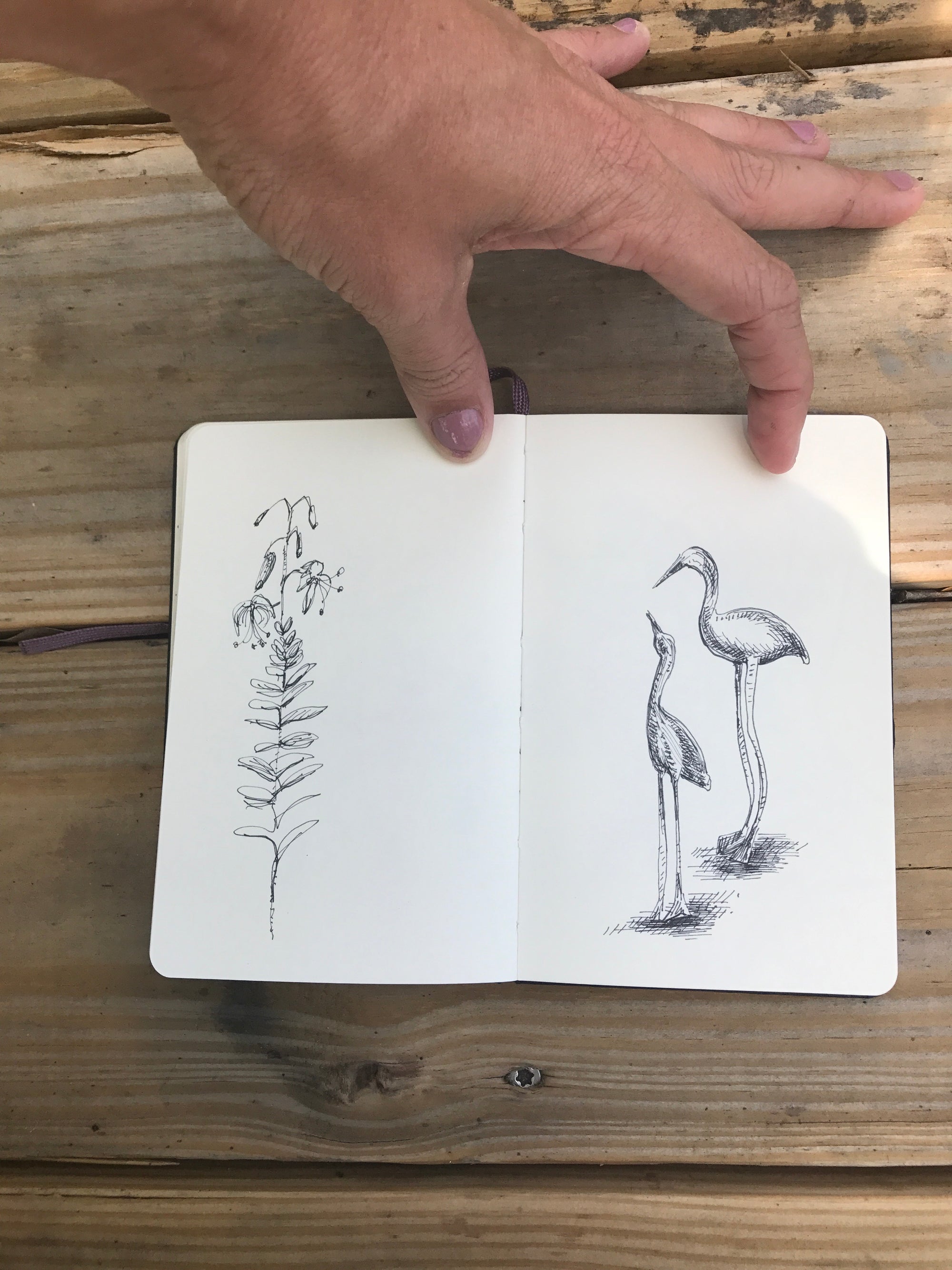 Drawing Class Registration: All Things Sketchbooking (Once Monthly Classes)