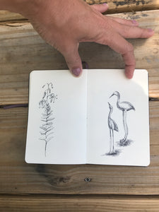 Drawing, Sketch booking and More - Once Monthly Classes