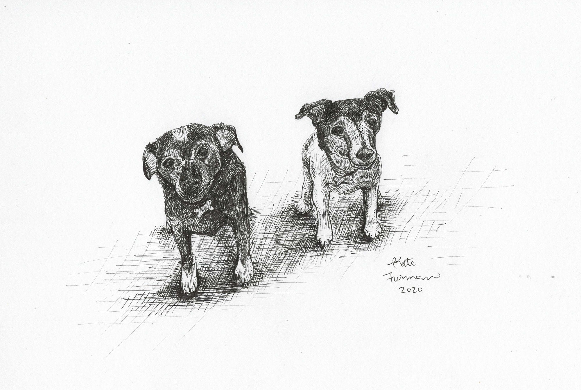 Pet Portrait
