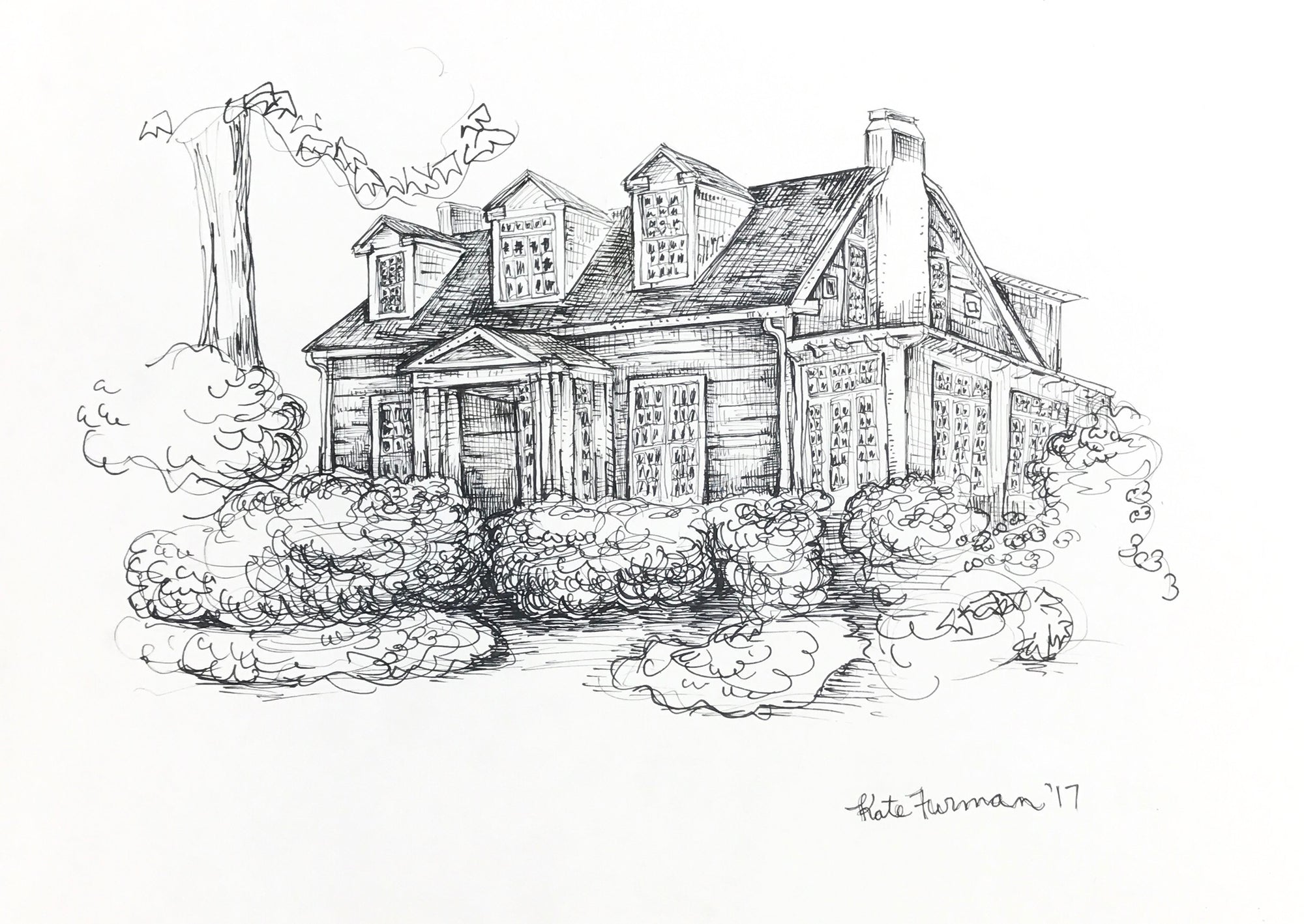 House Drawing
