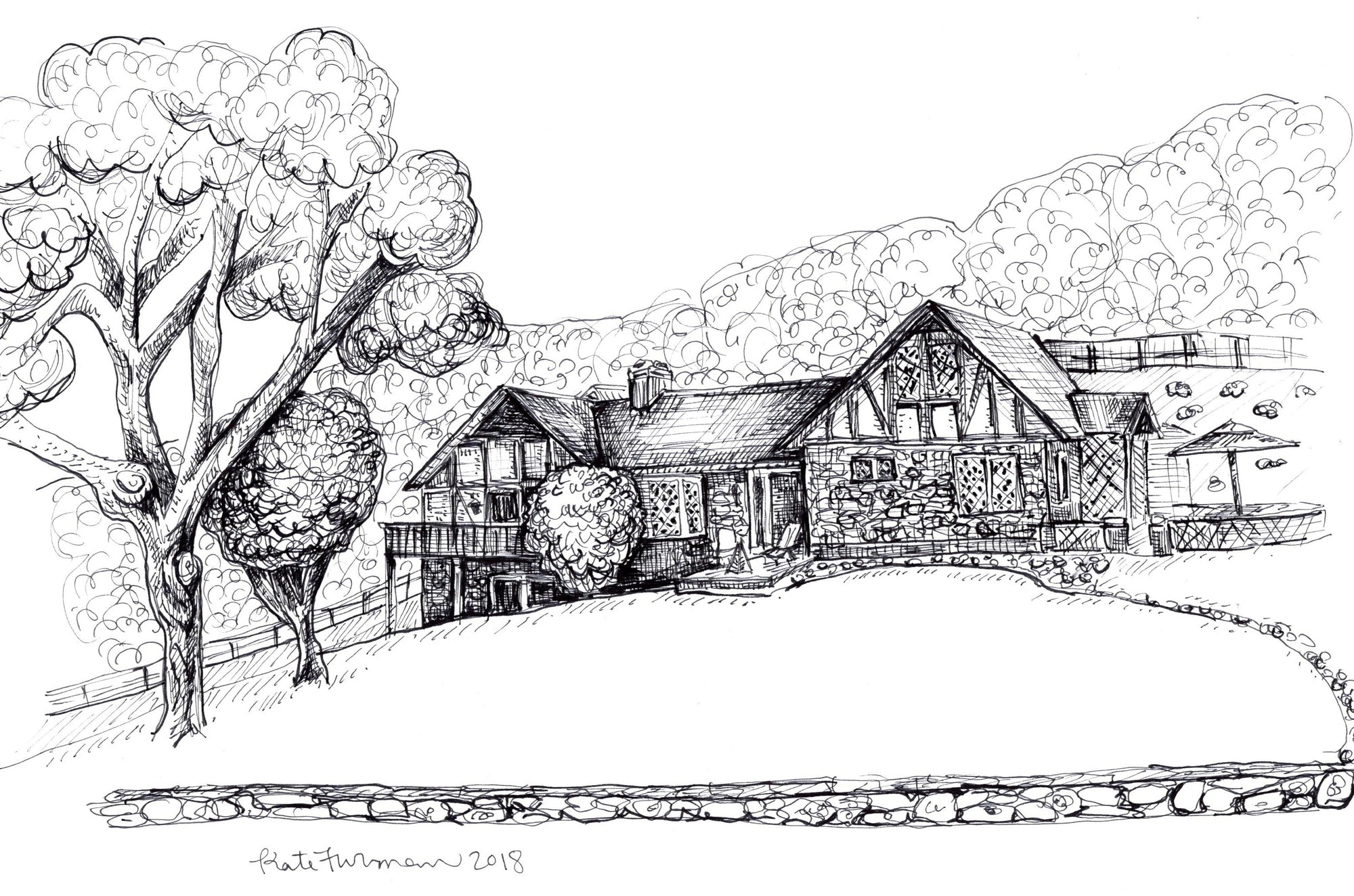 House Drawing