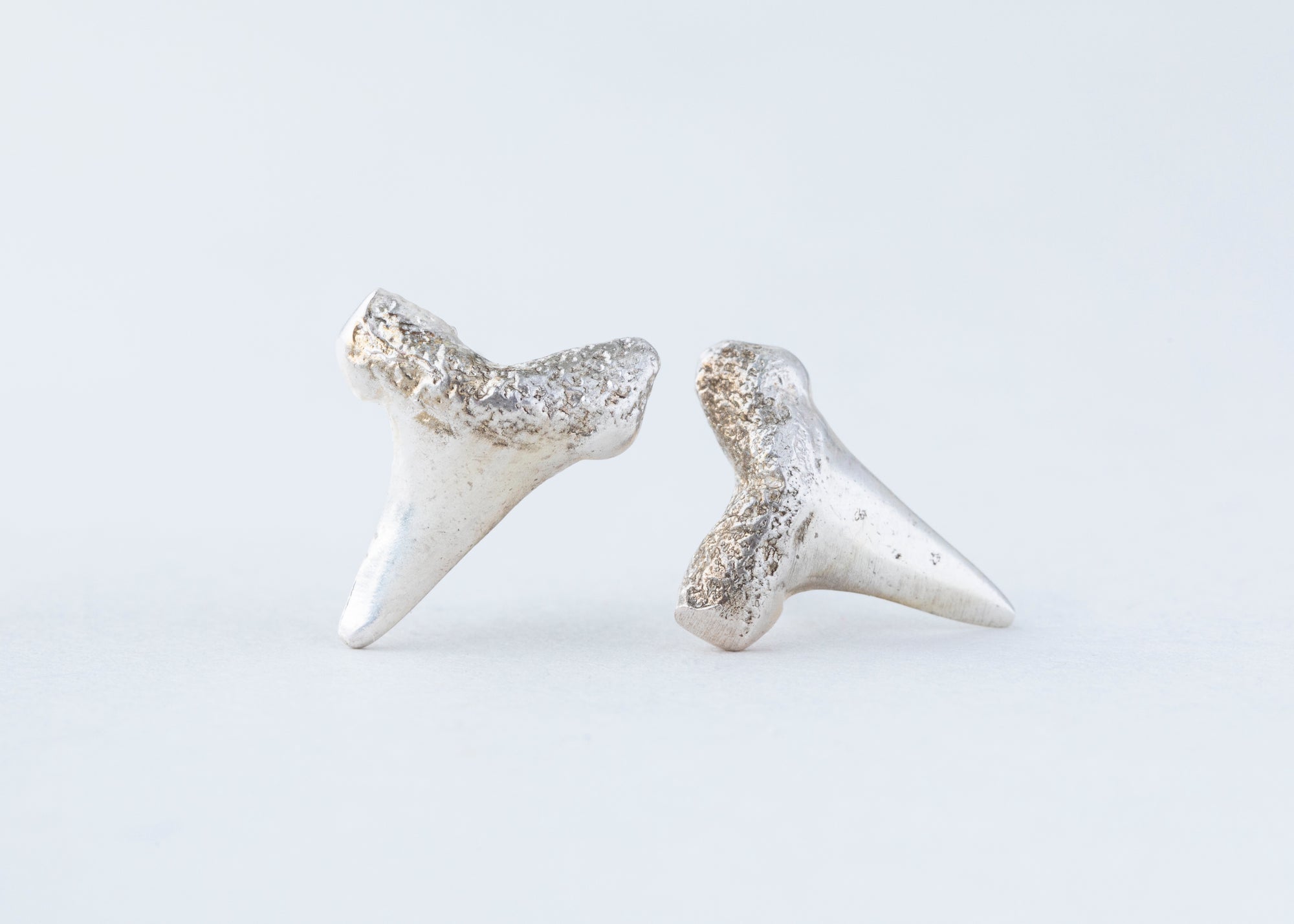Shark Teeth Stud Earrings