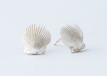 Load image into Gallery viewer, Tiny Seashells
