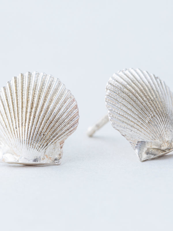 Tiny Seashells