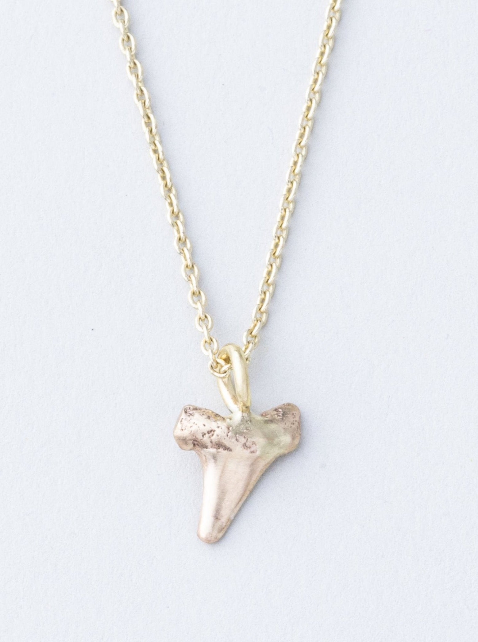 Shark Tooth Pendant