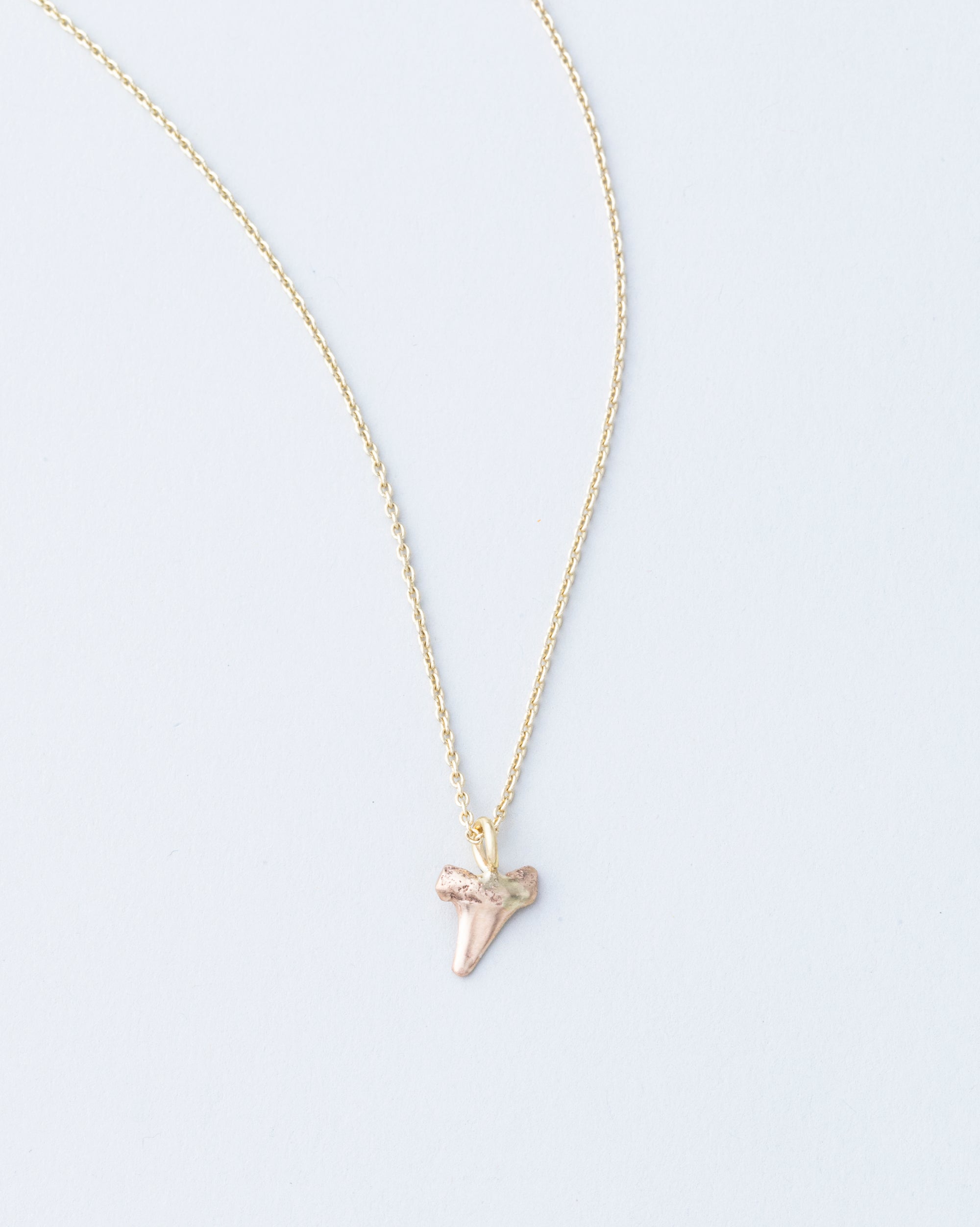 Shark Tooth Pendant