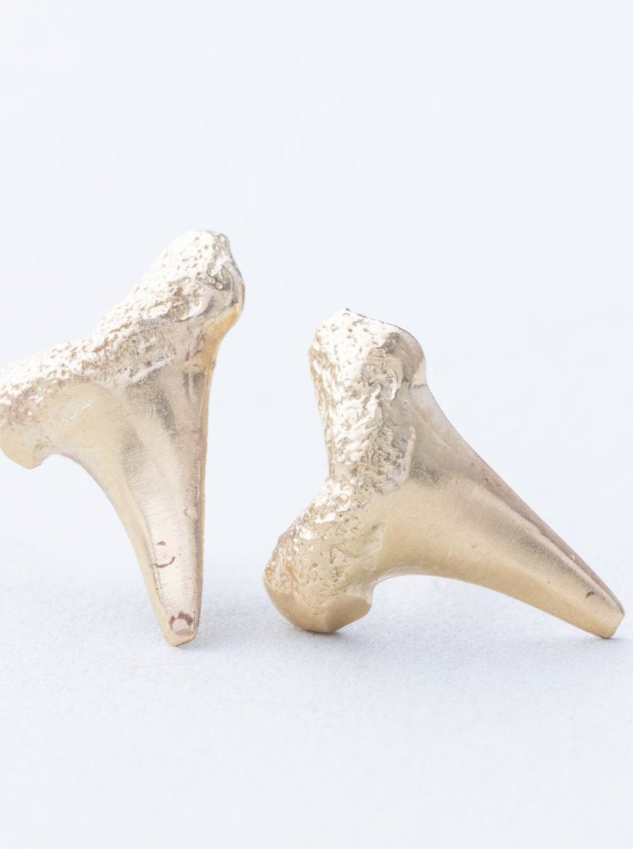 Shark Teeth Stud Earrings