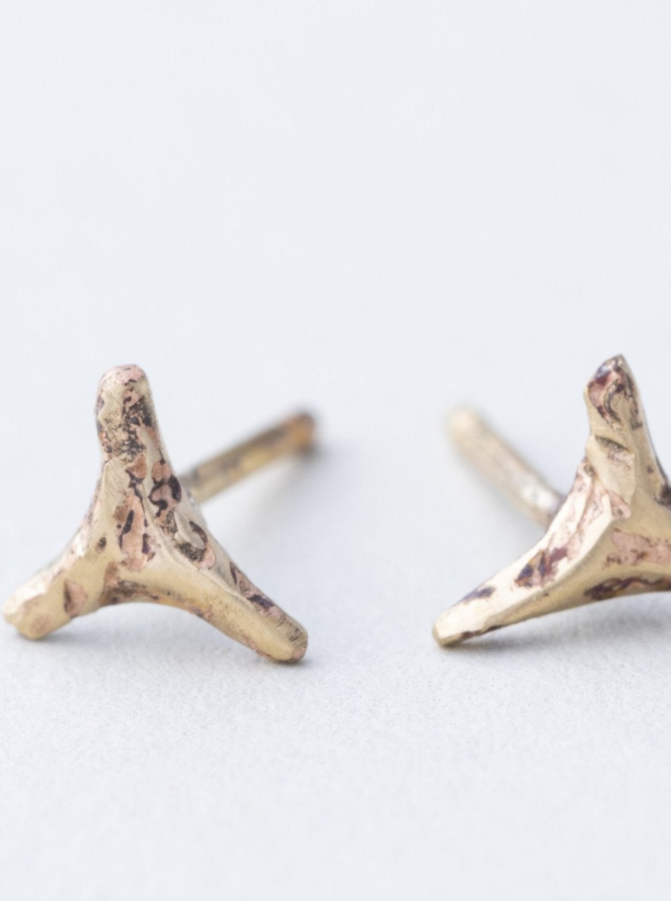 Tiny Shark Teeth