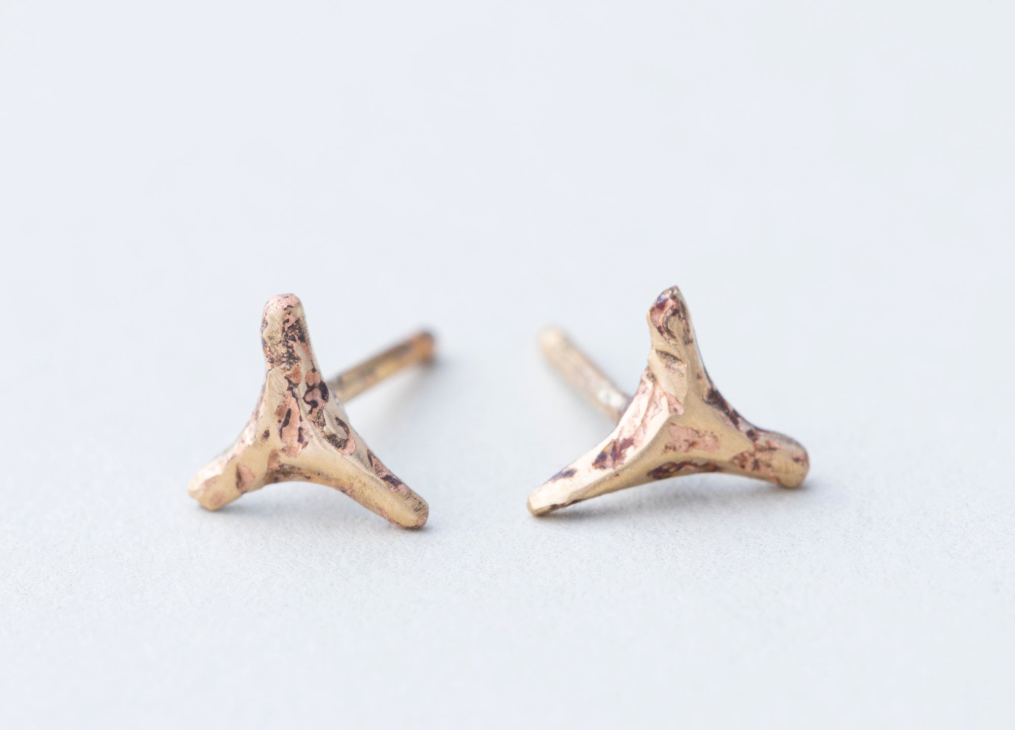 Tiny Shark Teeth