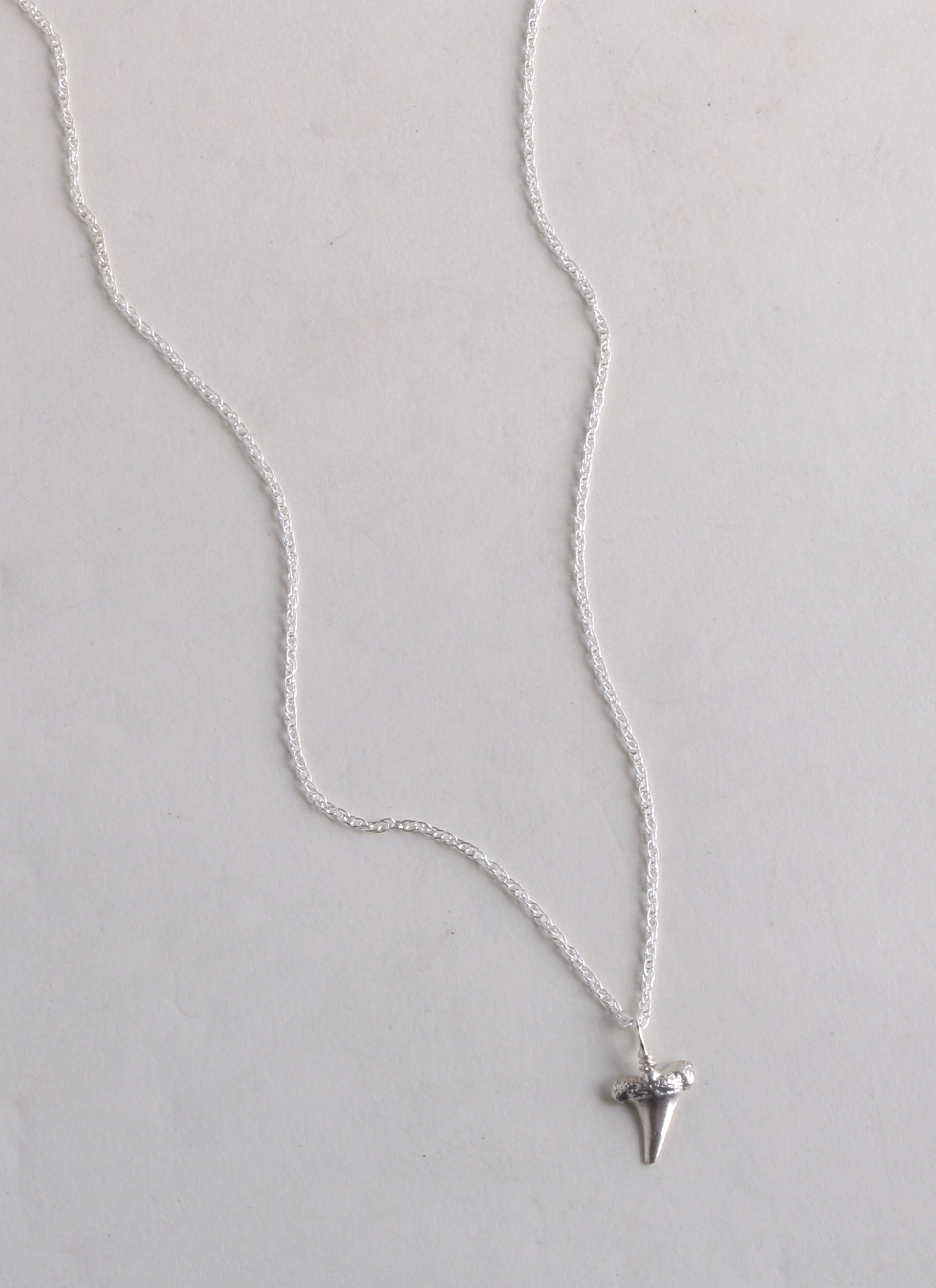 Shark Tooth Pendant