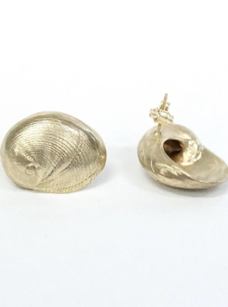 Scallop Stud Earrings