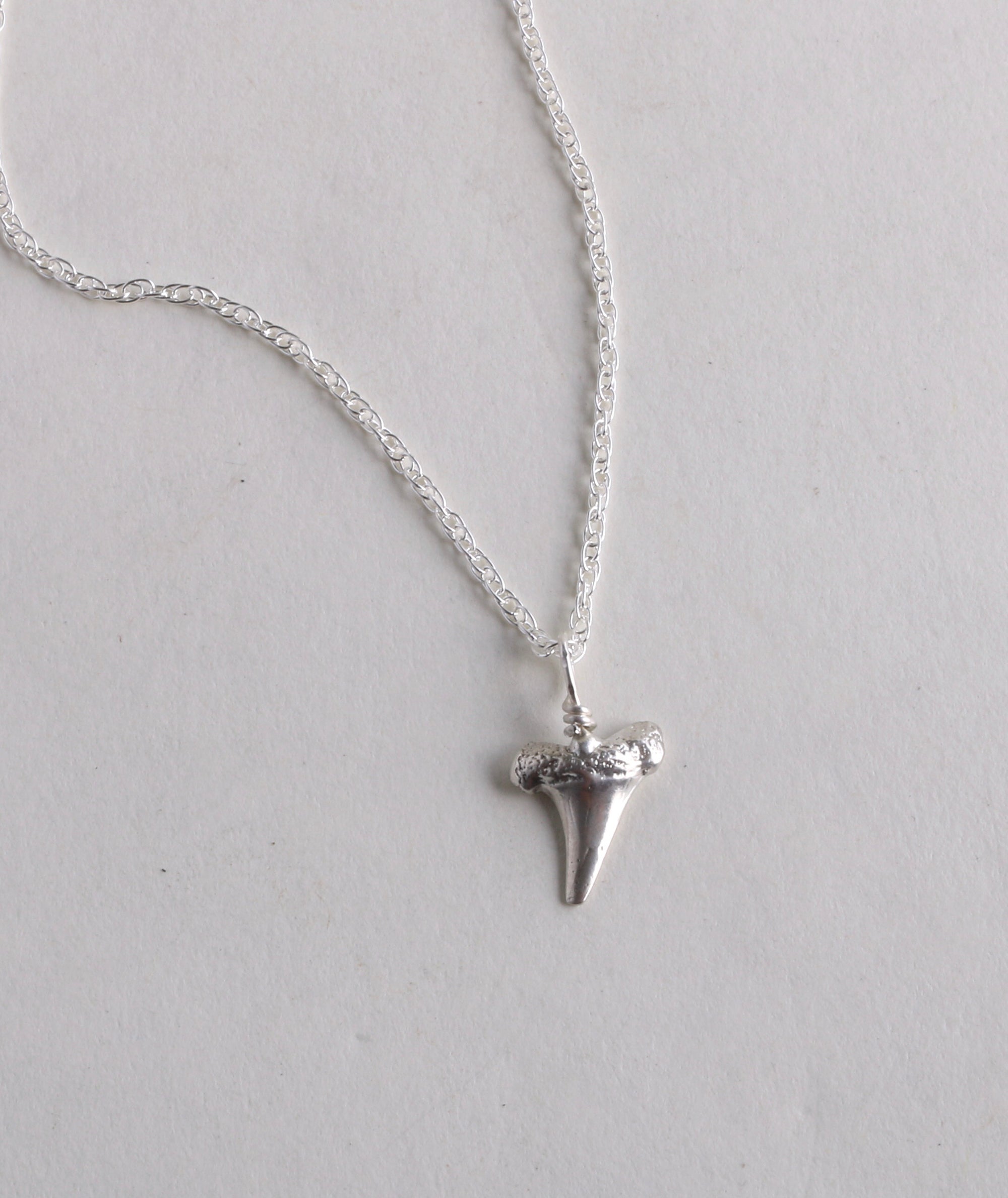 Shark Tooth Pendant
